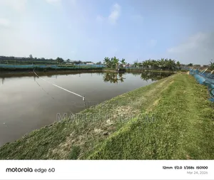 Urgent land for sale