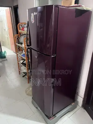 এলজি ফ্রিজ ২১৮ লিটার – শক্তিশালী কুলিং, ফ্যামিলি সাইজ