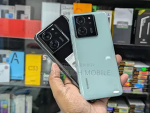 শাওমি ১৩টি প্রো ২৫৬ জিবি গ্রে