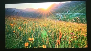 Haier 50 Inch Android Google TV Dolby Sound