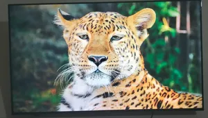 Haier 50 Inch Android Google TV Dolby Sound