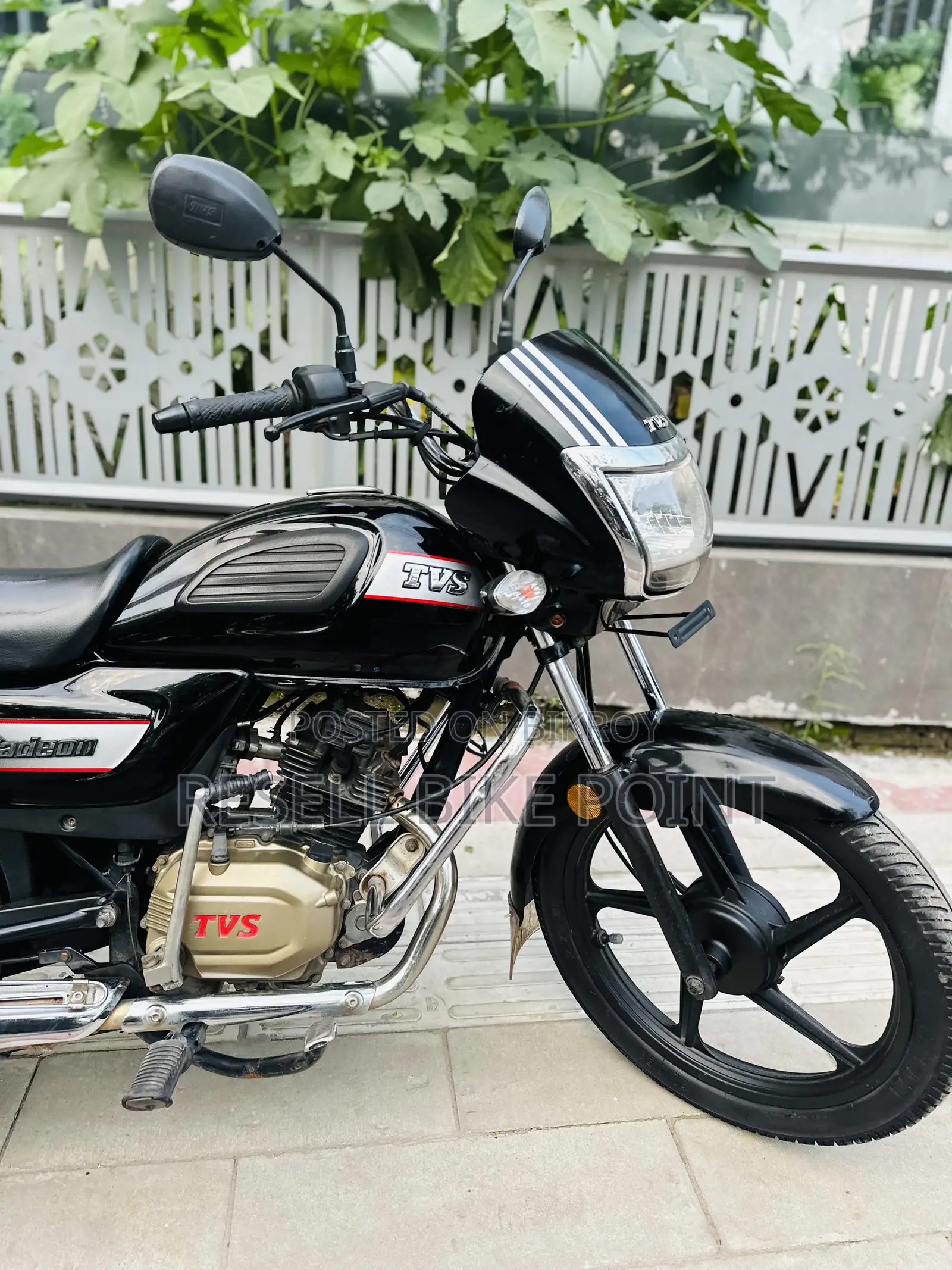 TVS Radeon 2022 Red