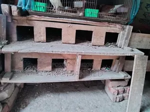 2 Wooden Pigeon Coops
