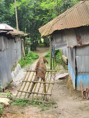 ৪ শতক রেডি প্লট বিক্রয় – বসবাসের জন্য পারফেক্ট