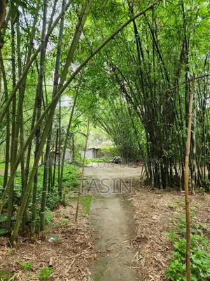 ৪ শতক রেডি প্লট বিক্রয় – বসবাসের জন্য পারফেক্ট