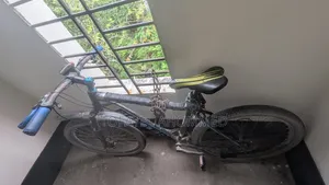 Foxter Bicycle Non-Gear