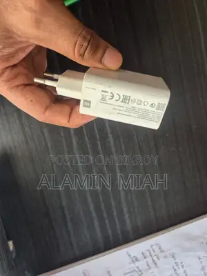 33 W Original Charger
