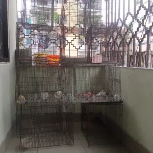 পাখির খাঁচা সেল