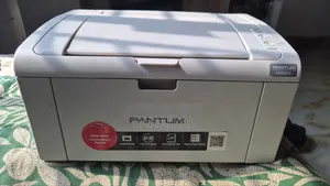 প্যান্টাম পি২৫০৯ প্রিন্টার ২৫% ছাড়