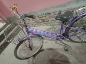 Ladies Bicycle