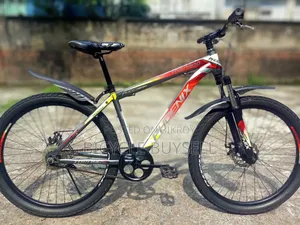 Phoenix Bicycle for Sale