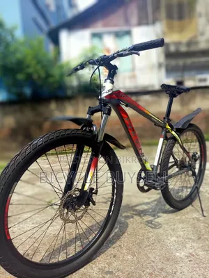 Phoenix Bicycle for Sale