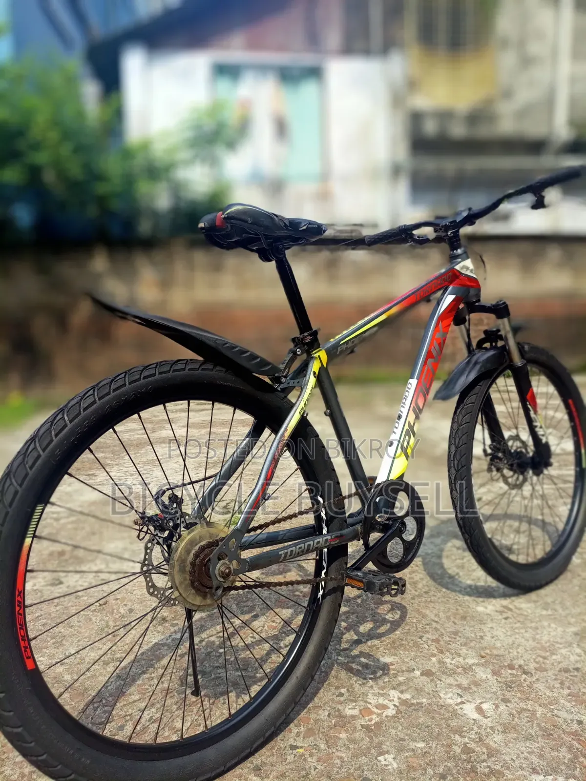 Phoenix Bicycle for Sale