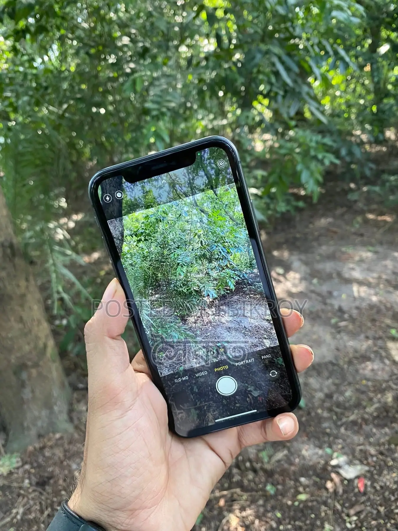 Apple iPhone 11 64 GB Gray