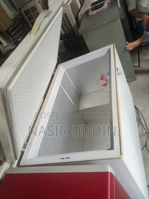 Dayu Company Deep Freezer