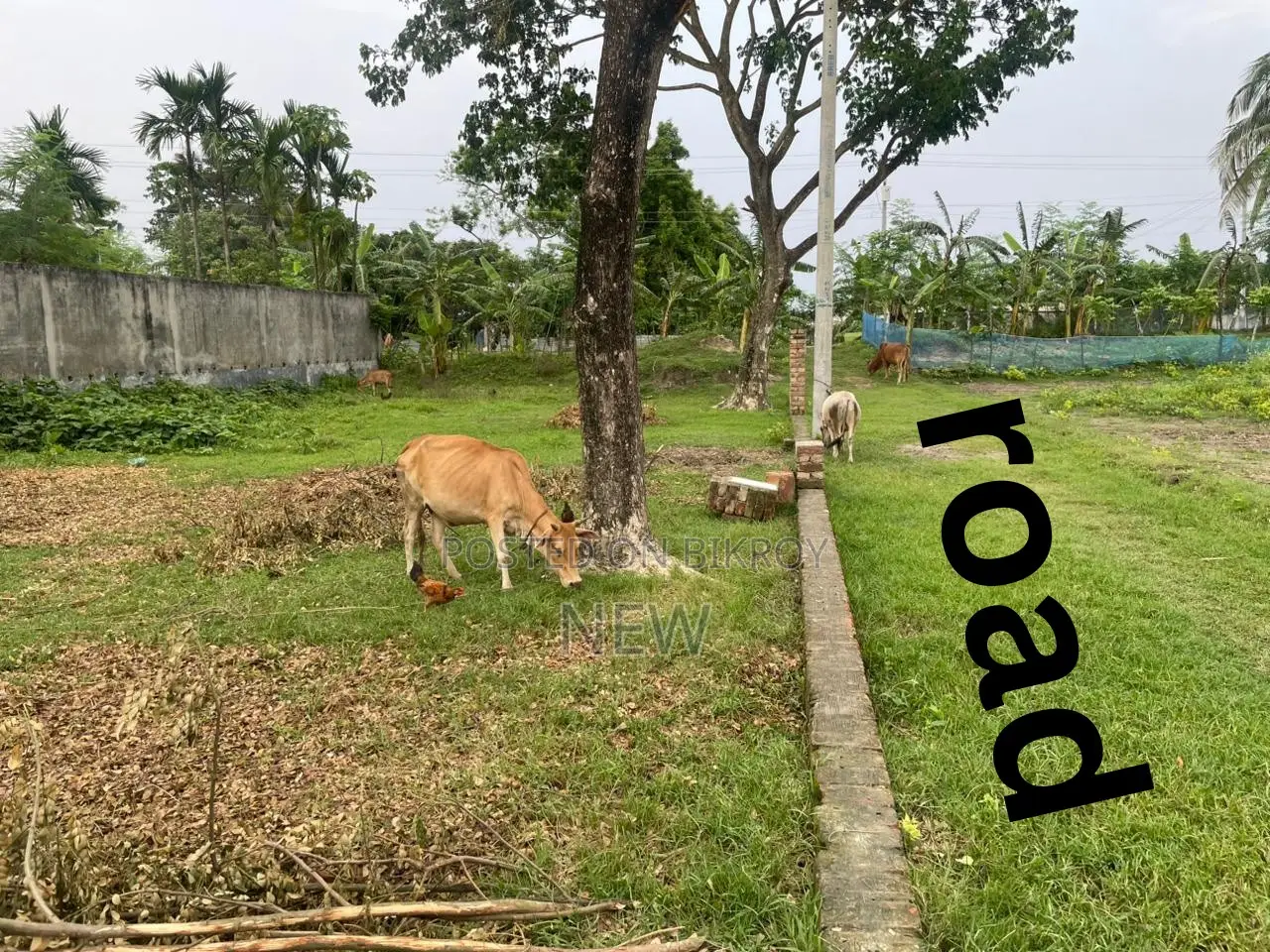 4 Katha land adjacent to Khulna Bishwa Road directly from the owner!