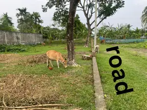 4 Katha land adjacent to Khulna Bishwa Road directly from the owner!