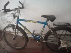 Running Bicycle