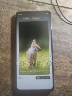 Vivo Black