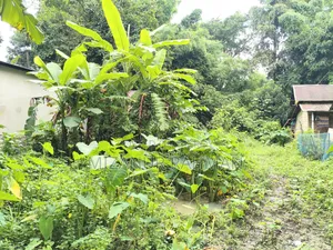 Urgent Land Sale | Ready for House Construction!