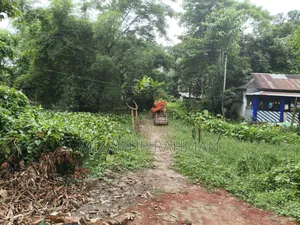 Urgent Land Sale | Ready for House Construction!