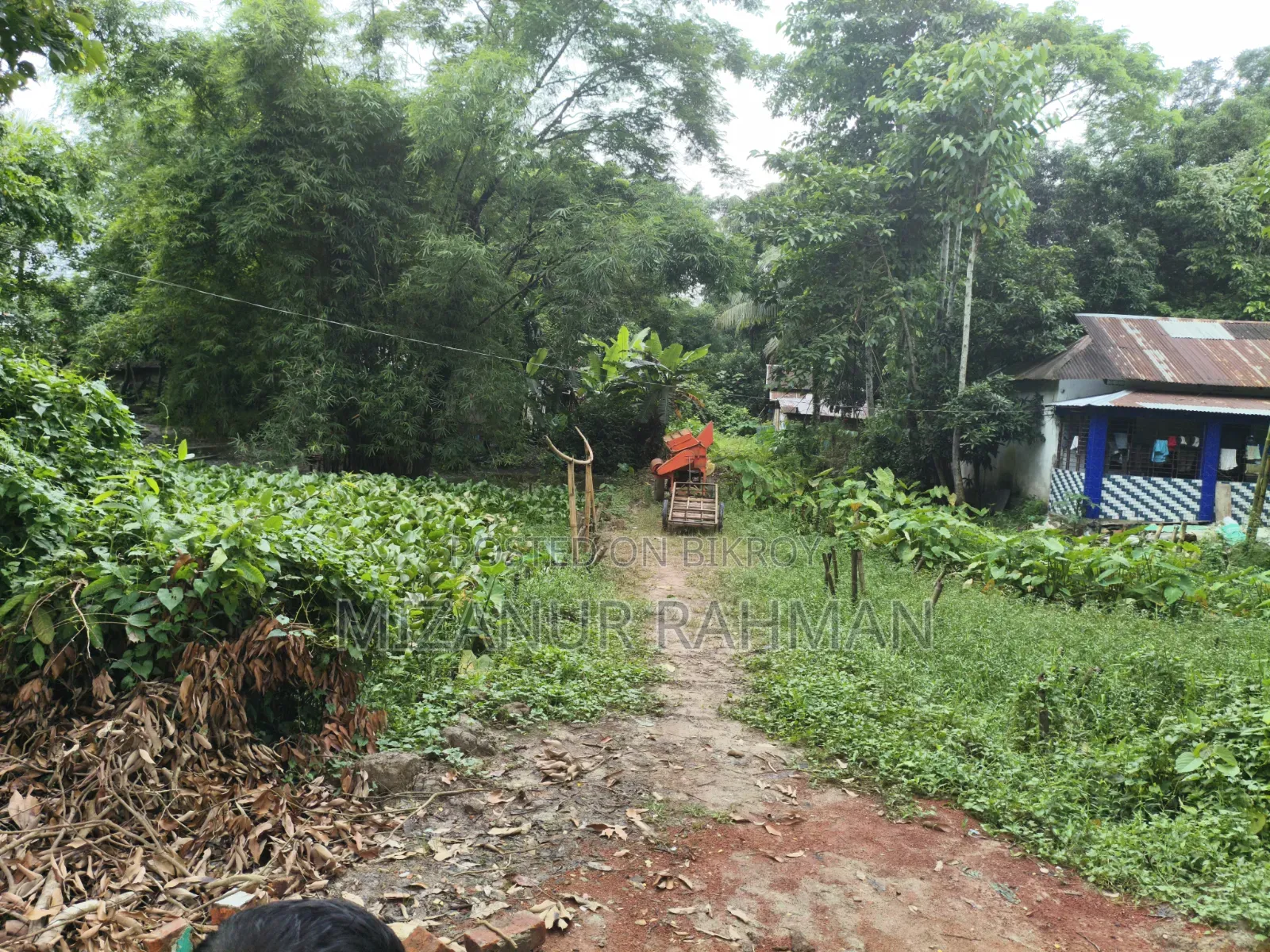 Urgent Land Sale | Ready for House Construction!