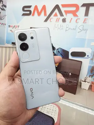 Vivo V29 256 GB Silver