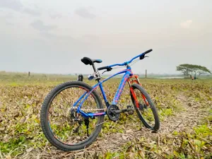 Veloce Mountain Bicycle