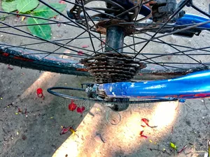 Veloce Mountain Bicycle
