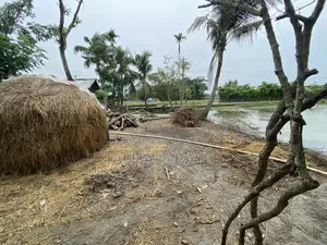 Land for sale.