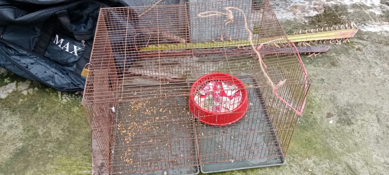 Bird Cage for Budgerigar