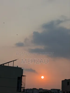 মেহজাদের সিভি