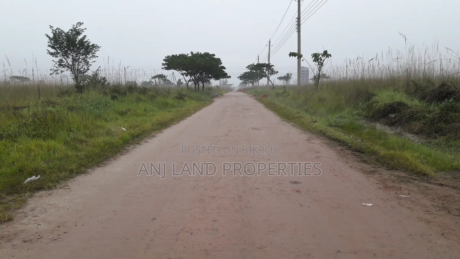 N-Block South Face 10-Katha Plot Sale
