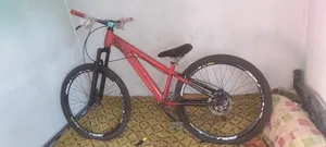 Stunt Cycle