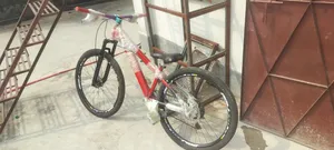 Stunt Cycle