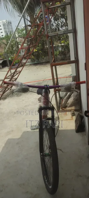 Stunt Cycle