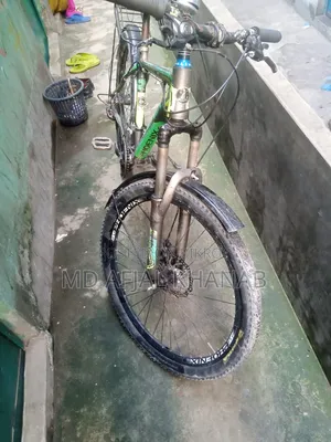 Phoenix 26 Inch