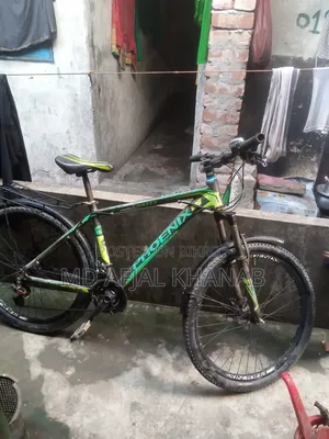 Phoenix 26 Inch