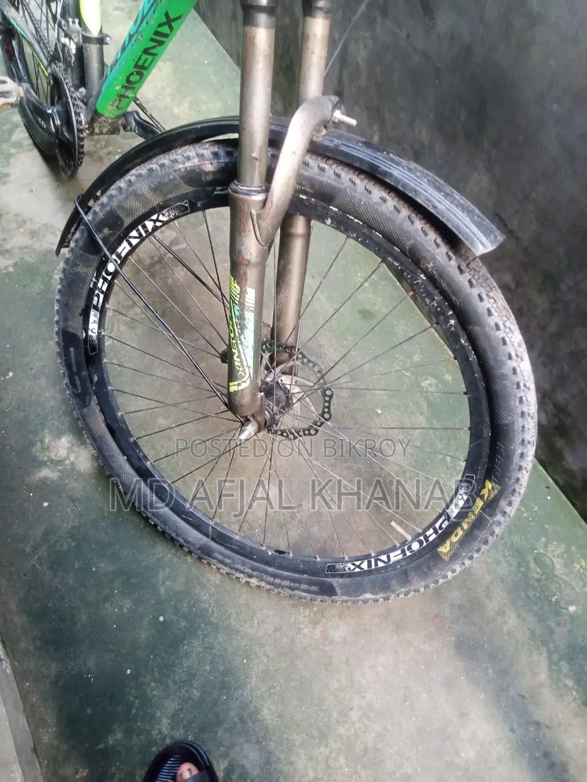 Phoenix 26 Inch