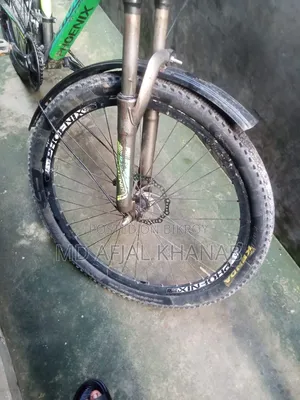 Phoenix 26 Inch