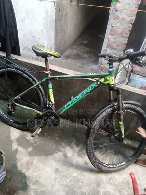 Phoenix 26 Inch