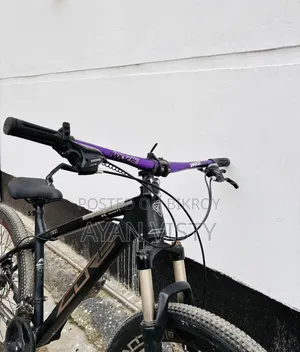 Core Nio 300 Cycle (Modified)