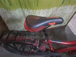 Cycle (20-inch)