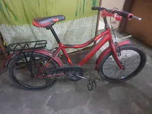 Cycle (20-inch)