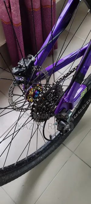 Boarse Sun 6.0 Stunt Build Up for Sale.