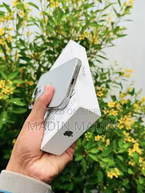 Apple iPhone 15 Pro Max 256 GB Silver