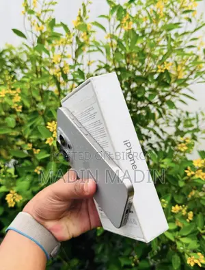 Apple iPhone 15 Pro Max 256 GB Silver