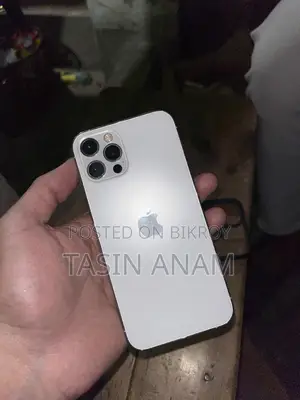 Apple iPhone 12 Pro 128 GB Silver