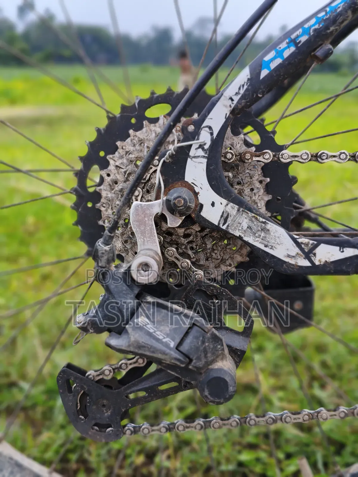 Modified MTB Cycle