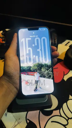 অ্যাপল আইফোন ১৩ প্রো ম্যাক্স ২৫৬ জিবি গ্রিন